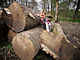 Big obstacle