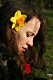 Searching for Spring