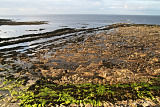 Northumbrian Coast