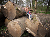 Big obstacle